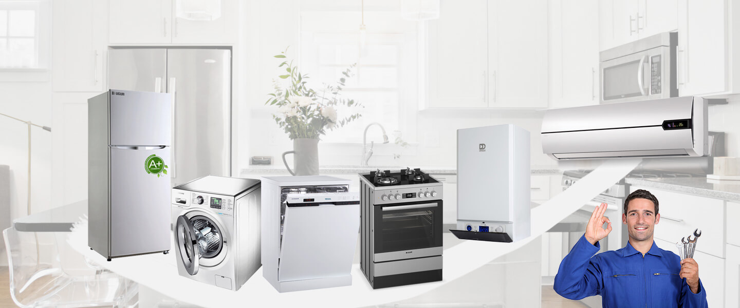 Bornova Dominox Servisi